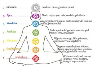 chakras2